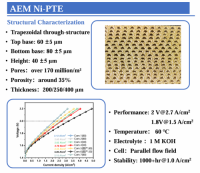 AEM Electrode-PTE Product